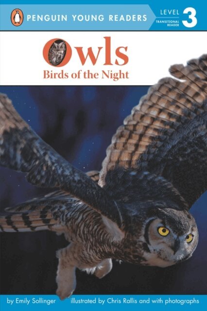 Emily Sollinger - Owls, E-bok