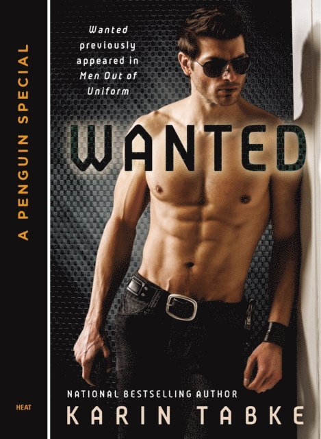 Karin Tabke - Wanted, E-bok