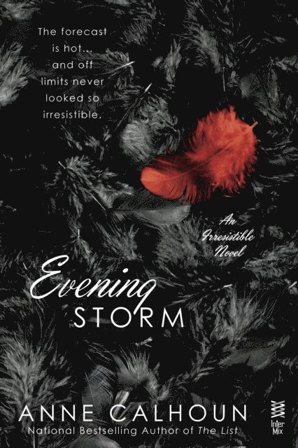 Anne Calhoun - Evening Storm, E-bok