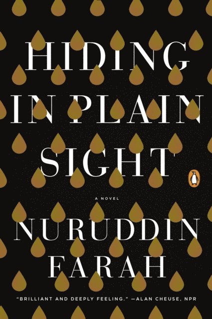 Nuruddin Farah - Hiding in Plain Sight, E-bok