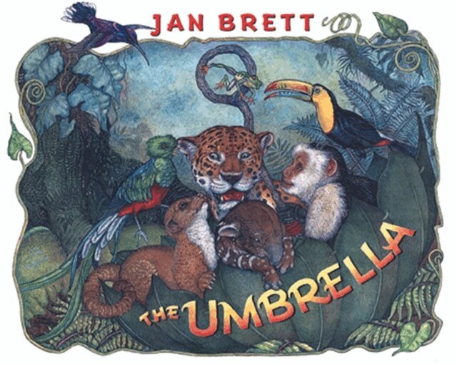Jan Brett - Umbrella, E-bok