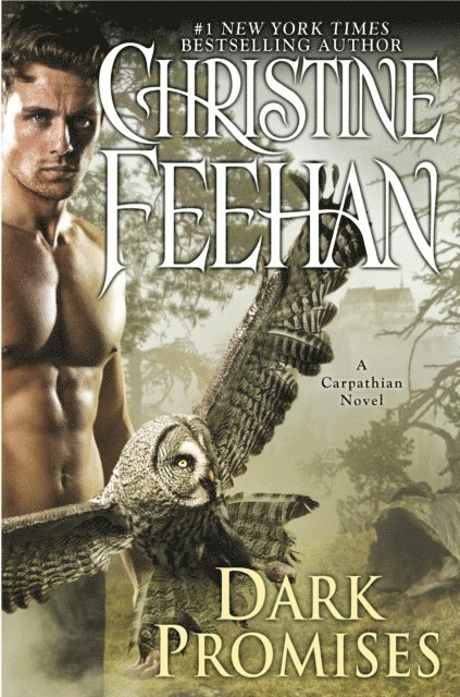Christine Feehan - Dark Promises, E-bok