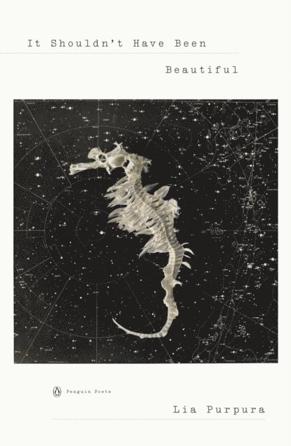 Lia Purpura - It Shouldn't Have Been Beautiful, E-bok
