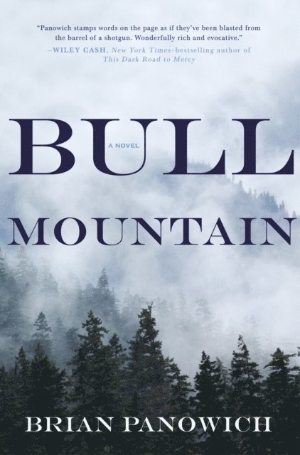 Brian Panowich - Bull Mountain, E-bok