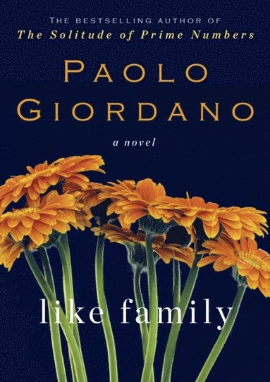 Paolo Giordano - Like Family, E-bok
