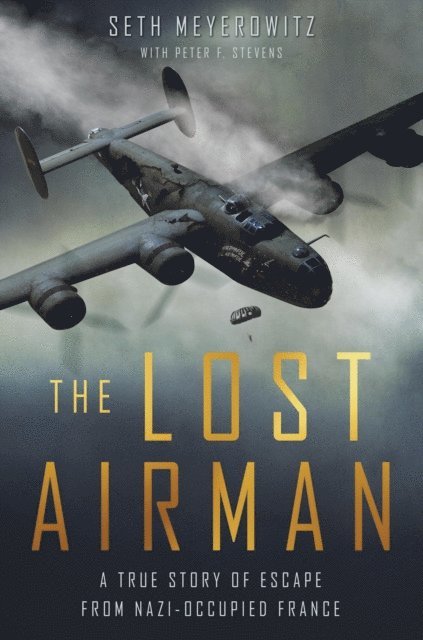 Peter Stevens, Seth Meyerowitz - Lost Airman, E-bok