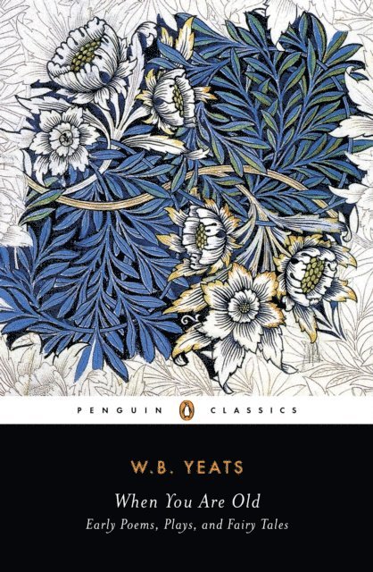 William Butler Yeats, Rob Doggett - When You Are Old, E-bok