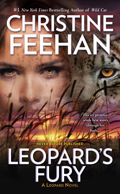 Christine Feehan - Leopard's Fury, E-bok