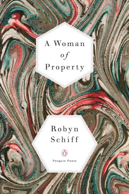 Robyn Schiff - Woman of Property, E-bok