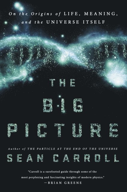 Sean Carroll - Big Picture, E-bok