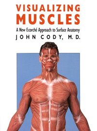 Visualizing Muscles