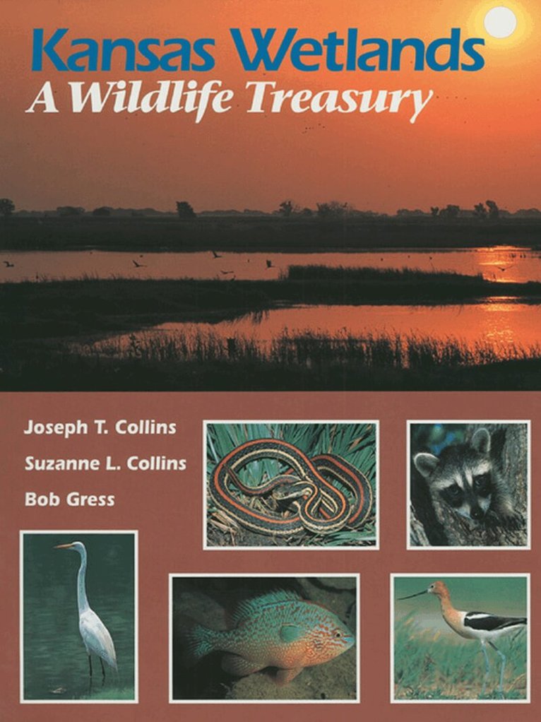 Joseph T. Collins, etc., Suzanne L. Collins, Bob Gress - Kansas Wetlands, Inbunden. Tillgänglighet: Tillfälligt slut