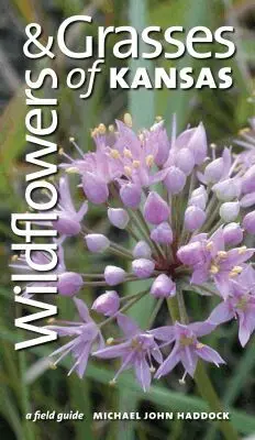 Michael John Haddock - Wildflowers and Grasses of Kansas, Häftad. Tillgänglighet: Tillfälligt slut