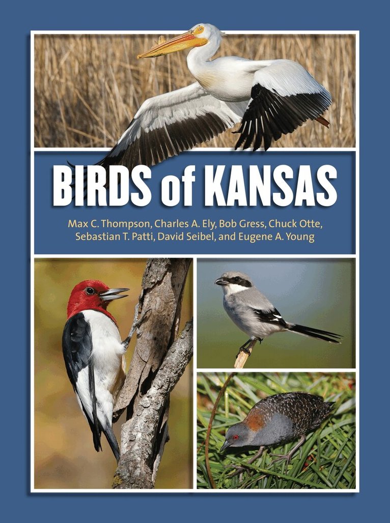 Max C. Thompson, Charles A. Ely, Bob Gress, Chuck Otte, Sebastian T. Patti, David Seibel - Birds of Kansas, Inbunden. Tillgänglighet: Tillfälligt slut