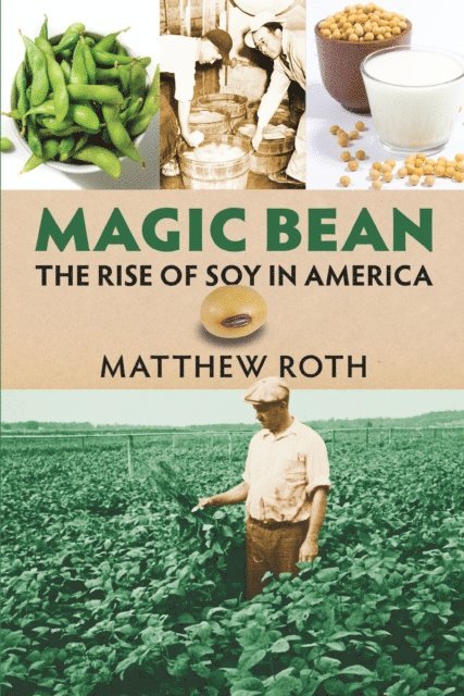 Matthew Roth - Magic Bean, E-bok
