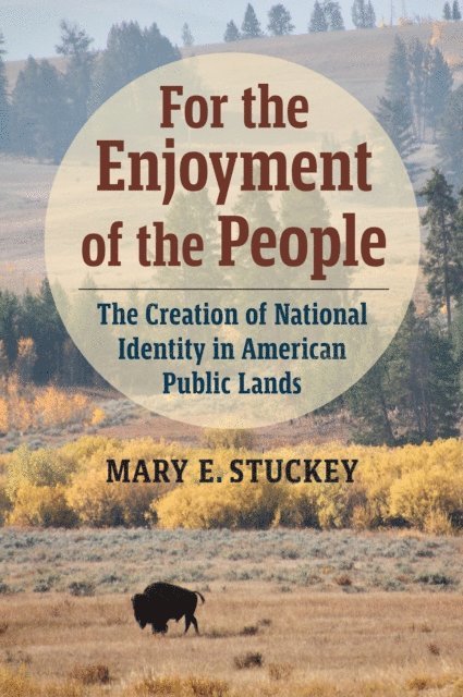 Mary E. Stuckey - For the Enjoyment of the People, E-bok
