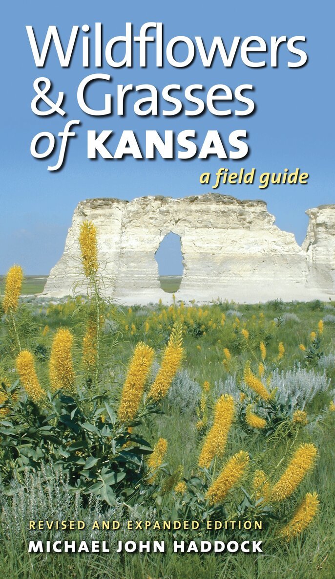 Michael John Haddock - Wildflowers and Grasses of Kansas, Häftad