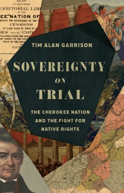 Tim Alan Garrison - Sovereignty on Trial, E-bok