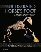 The Illustrated Horse's Foot