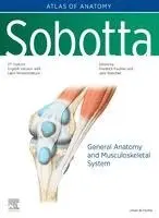 Friedrich Paulsen, Jens Waschke - Sobotta Atlas of Anatomy, Vol.1, 17th ed., English/Latin, Inbunden