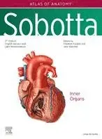 Friedrich Paulsen, Jens Waschke - Sobotta Atlas of Anatomy, Vol. 2, 17th ed., English/Latin, Inbunden