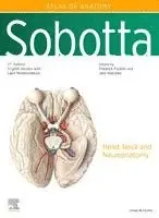 Friedrich Paulsen, Jens Waschke - Sobotta Atlas of Anatomy, Vol. 3, 17th ed., English/Latin, Inbunden