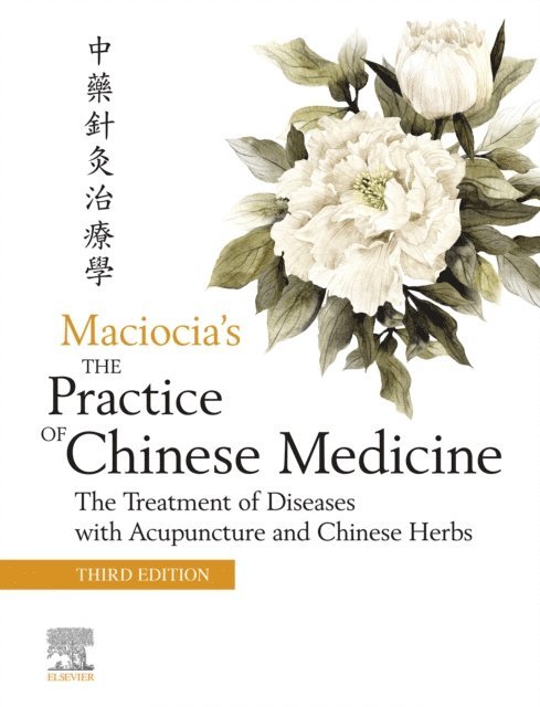 Sebastian Maciocia, Giovanni Maciocia - Practice of Chinese Medicine E-Book, E-bok