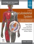 Musculoskeletal System