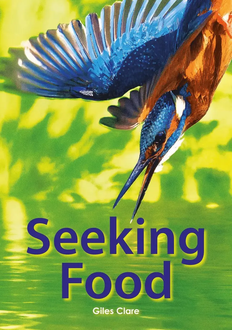 Giles Clare - Set 05 - Seeking Food, Häftad. Tillgänglighet: Lägg i varukorg
