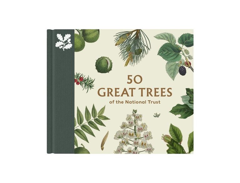Simon Toomer - 50 Great Trees of the National Trust, Inbunden