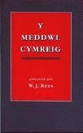 Y Meddwl Cymreig