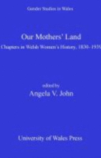 Angela  V John - Our Mothers' Land, E-bok