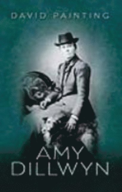 David Painting - Amy Dillwyn, E-bok. Tillgänglighet: Lägg i varukorg