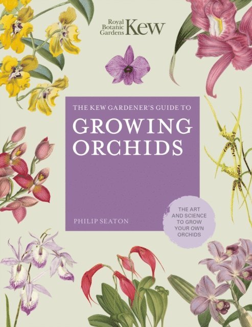 Philip Seaton, Royal Botanic Gardens Kew - Kew Gardener's Guide to Growing Orchids, E-bok