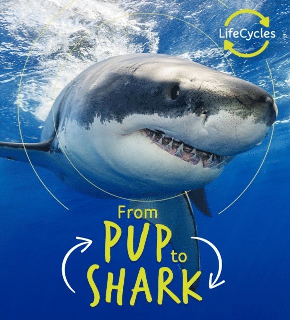 Camilla de la Bedoyere - Lifecycles - Pup To Shark, E-bok