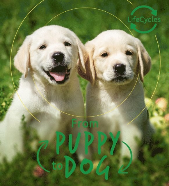 Camilla de la Bedoyere - Lifecycles - Pup To Dog, E-bok