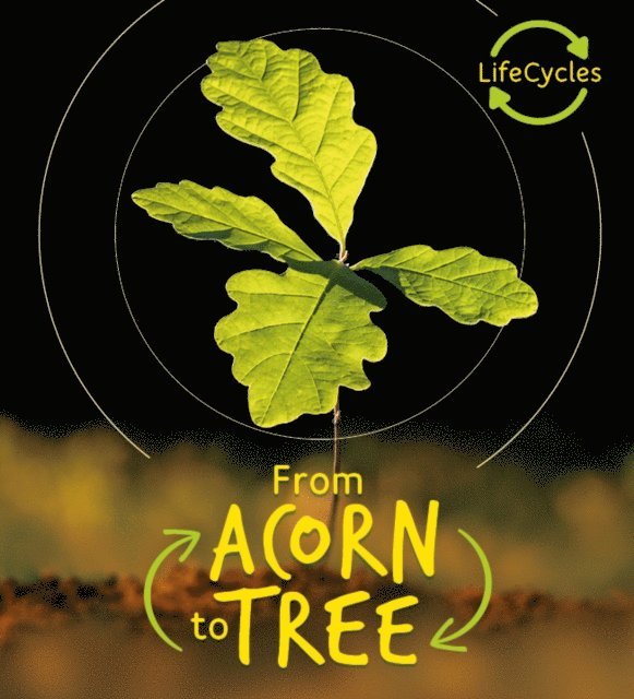 Camilla de la Bedoyere - Lifecycles - Acorn to Tree, E-bok