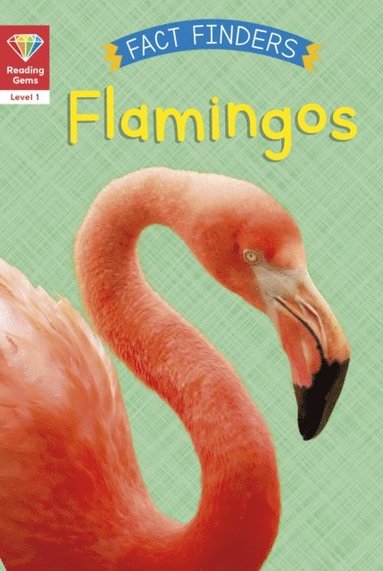 Katie Woolley - Reading Gems Fact Finders: Flamingos (Level 1), E-bok