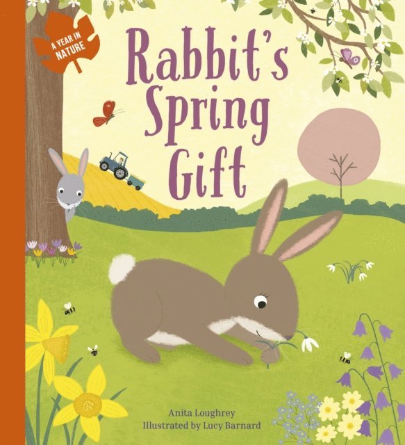 Anita Loughrey - Rabbit's Spring Gift, E-bok