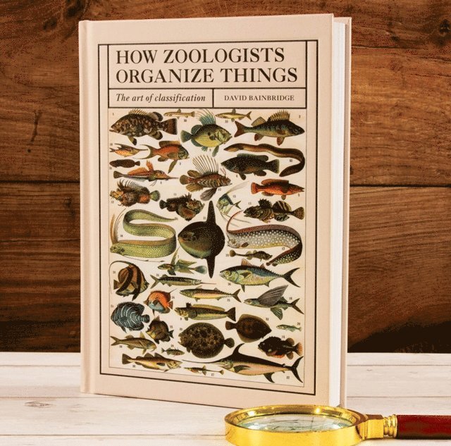 David Bainbridge - How Zoologists Organize Things, E-bok