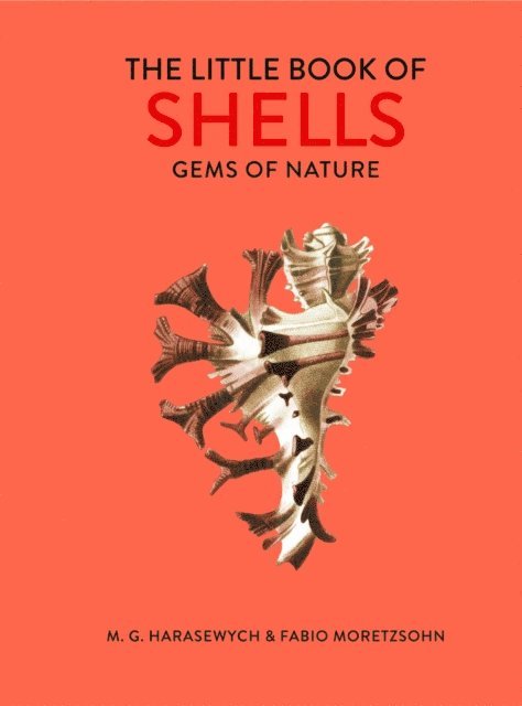 M. G. Harasewych, Fabio Moretzsohn - Little Book of Shells, E-bok