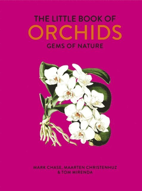 Mark Chase, Maarten Christenhusz, Tom MIrenda - Little Book of Orchids, E-bok