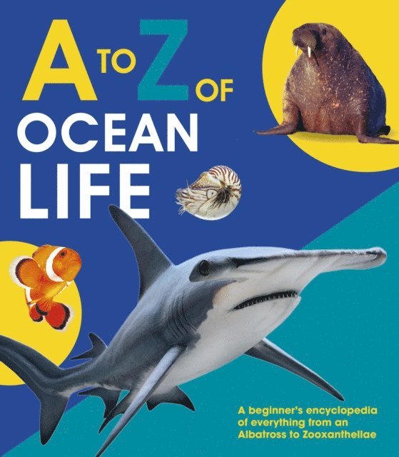 Words & Pictures - to Z of Ocean Life, E-bok