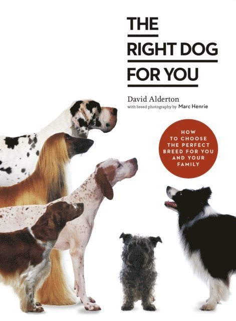 David Alderton - Right Dog for You, E-bok