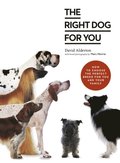 Right Dog for You