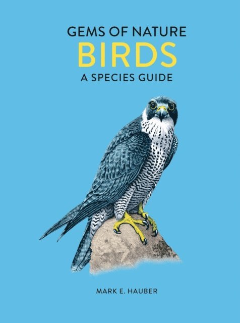 Mark E. Hauber - Birds, E-bok