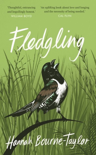 Hannah Bourne-Taylor - Fledgling, E-bok