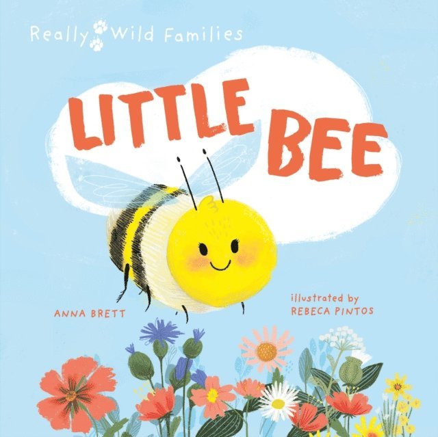Anna Brett - Little Bee, E-bok