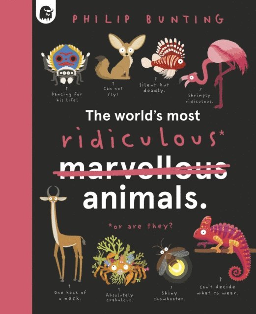 Philip Bunting - World's Most Ridiculous Animals, E-bok