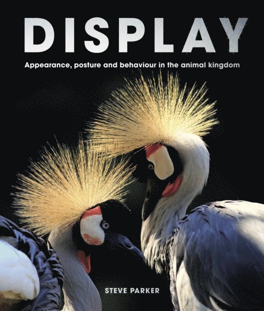 Steve Parker - Display, E-bok